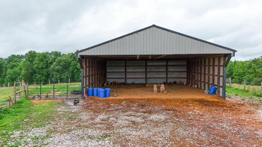 Listing Image 9