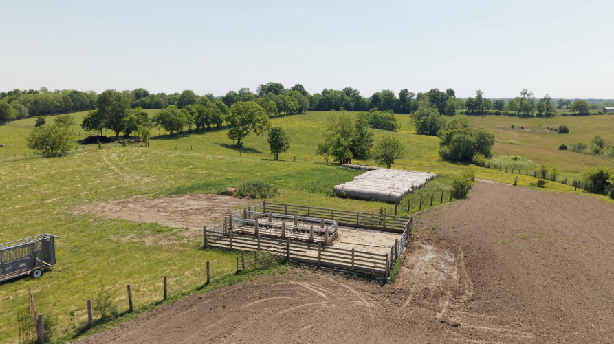 Listing Image 27