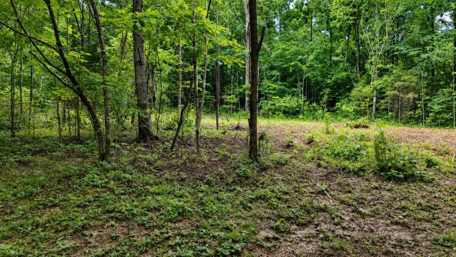 Listing Image 18