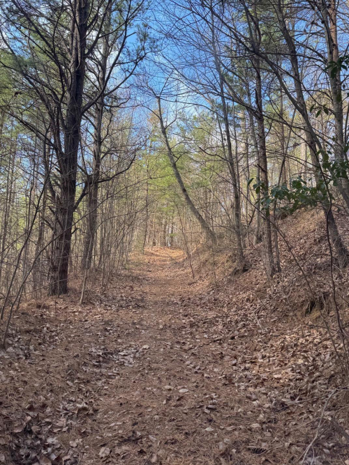 Listing Image 16