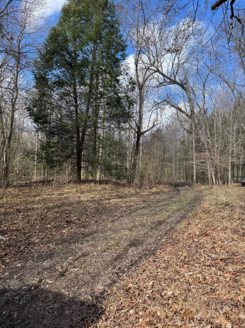 Listing Image 17