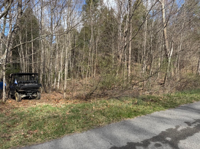 Listing Image 19
