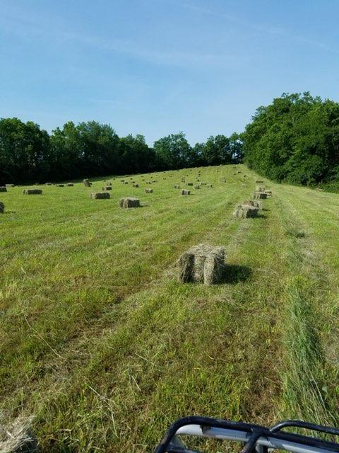 Listing Image 73