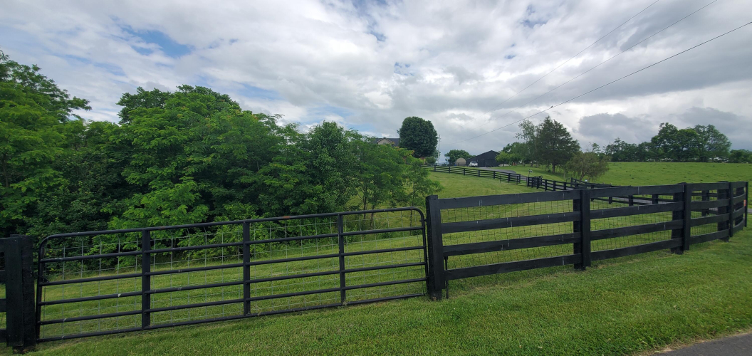 Listing Image 77