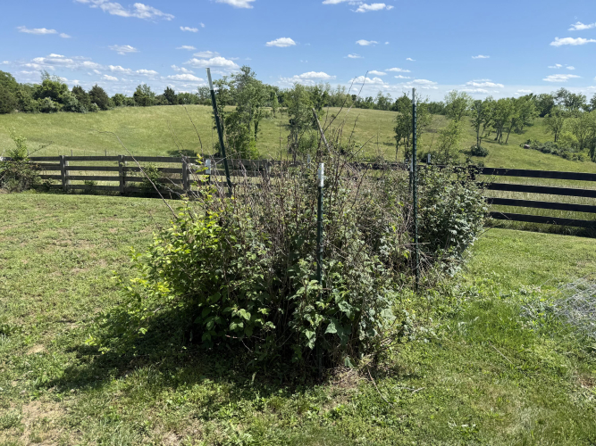 Listing Image 42