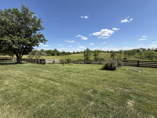 Listing Image 63