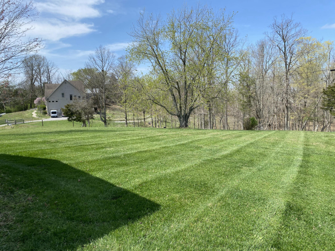 Listing Image 17