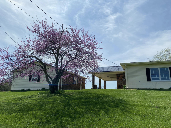 Listing Image 18