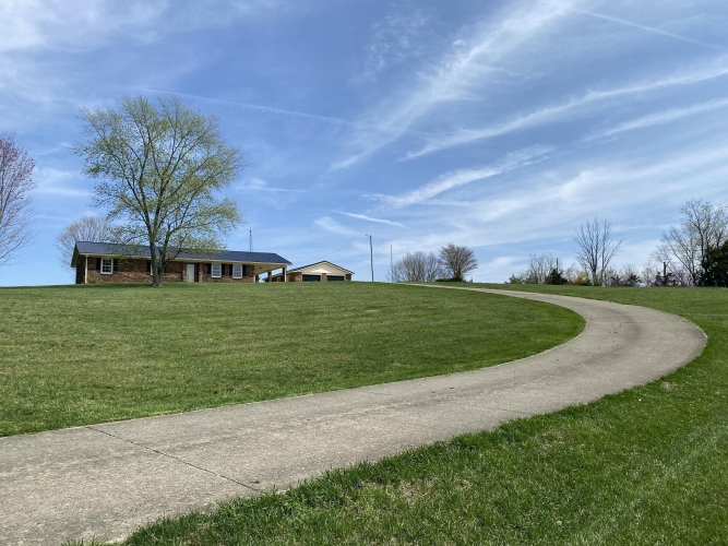 Listing Image 19