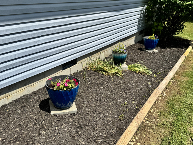 Listing Image 27