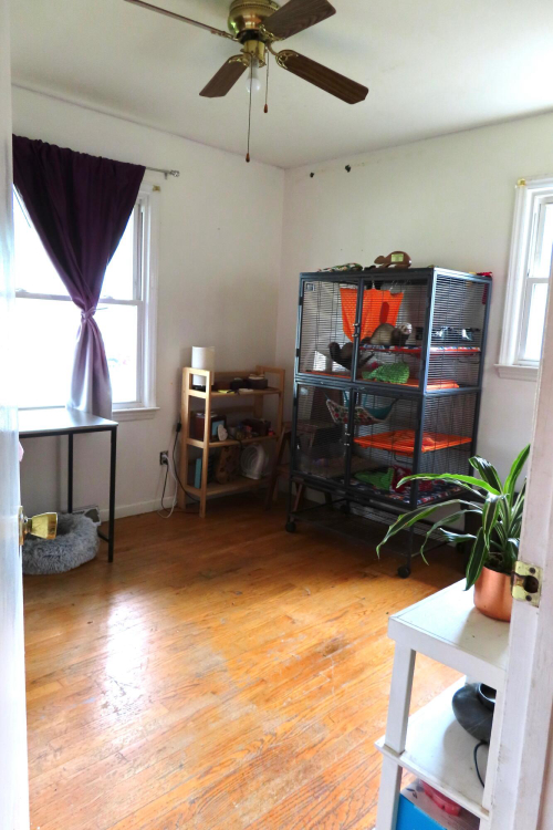 Listing Image 20