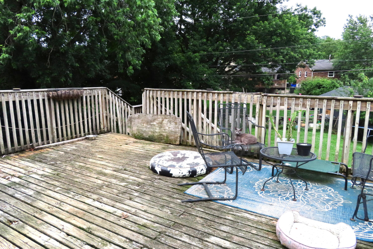 Listing Image 23