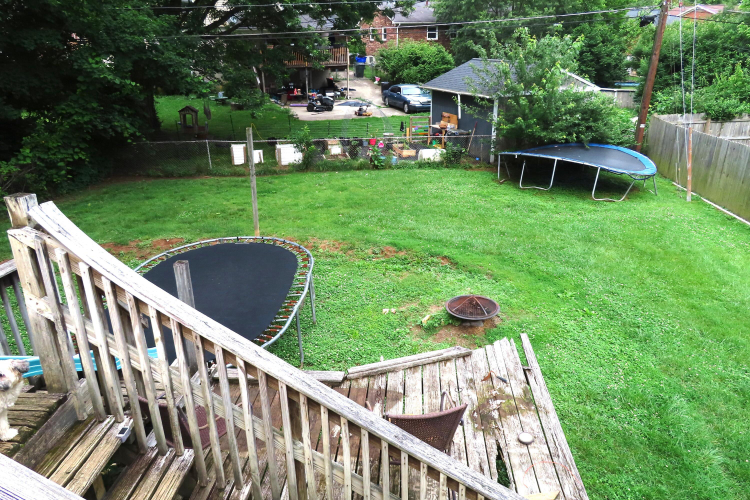 Listing Image 25