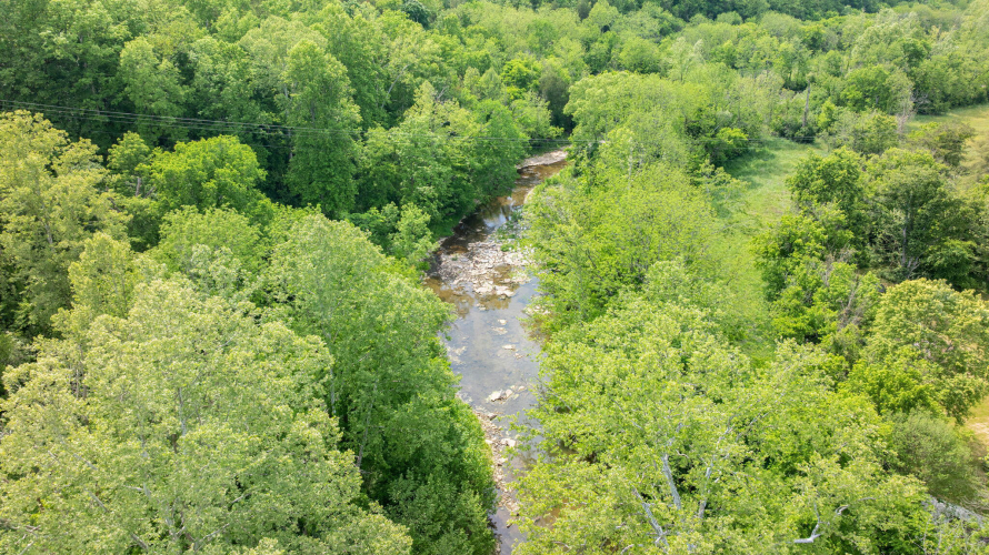 Listing Image 33