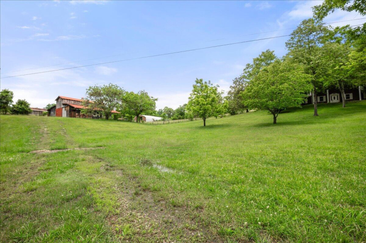 Listing Image 53