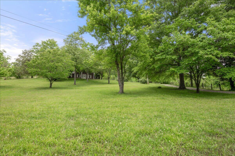 Listing Image 54