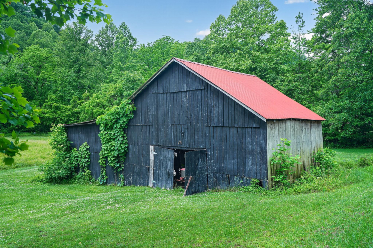 Listing Image 21