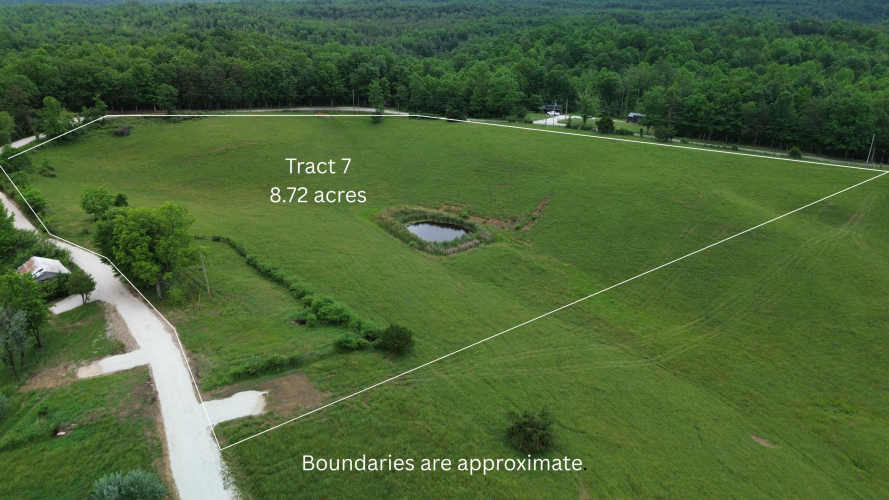 Listing Image 6