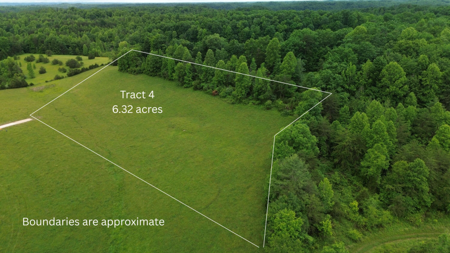 Listing Image 6