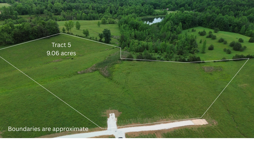 Listing Image 6
