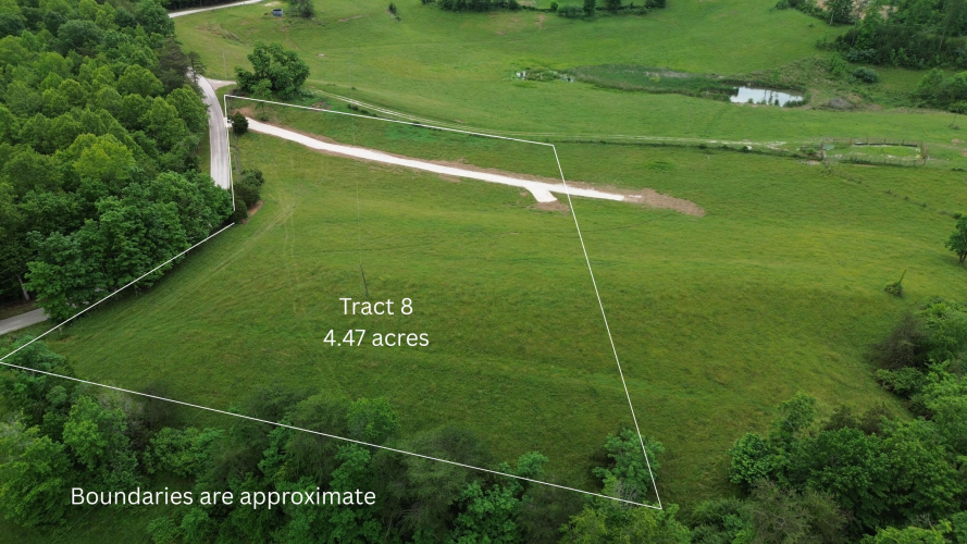 Listing Image 6