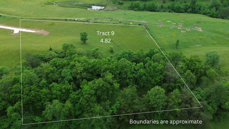Listing Image 5