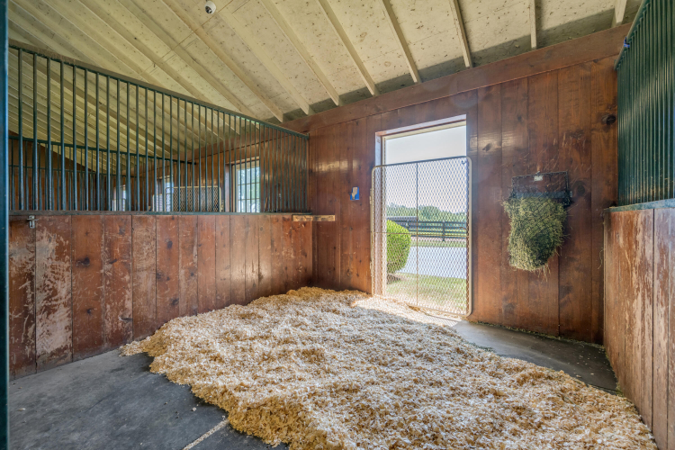 Listing Image 102