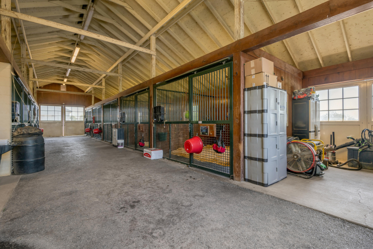 Listing Image 103