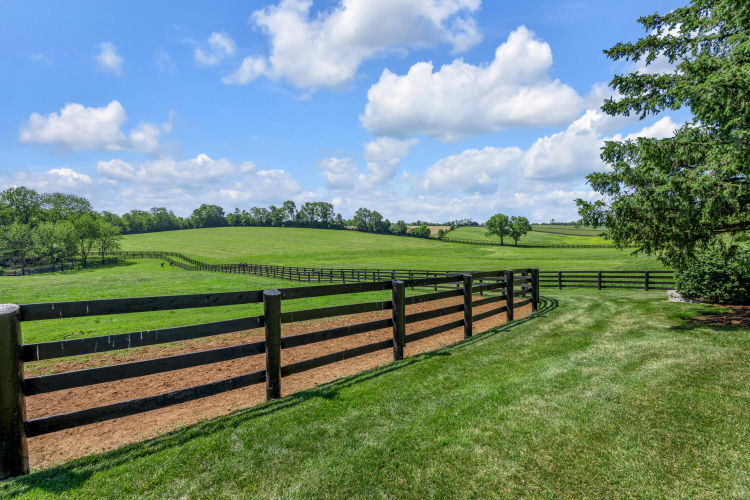 Listing Image 143