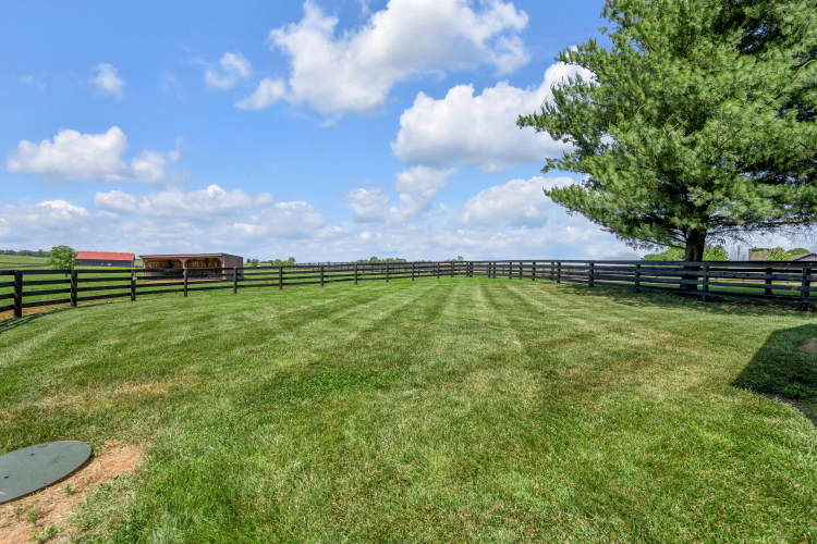 Listing Image 146
