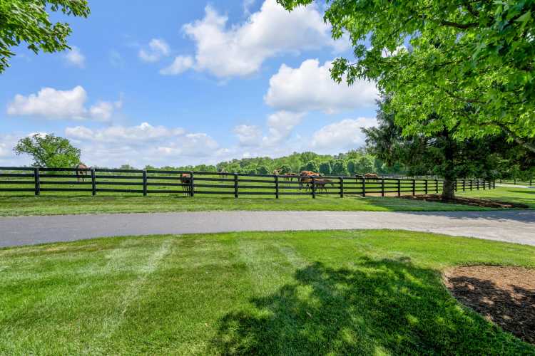 Listing Image 147