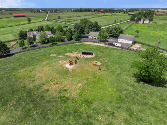 Listing Image 93