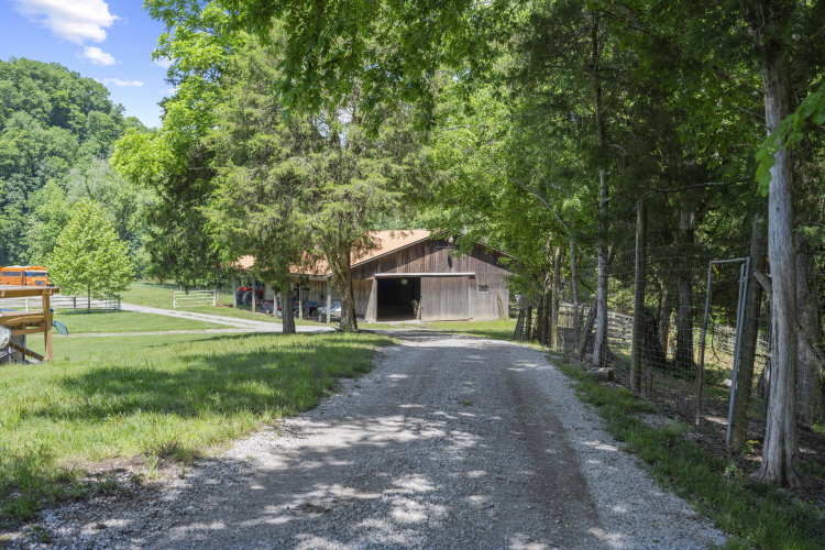 Listing Image 44