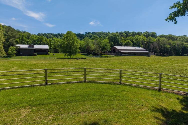 Listing Image 65