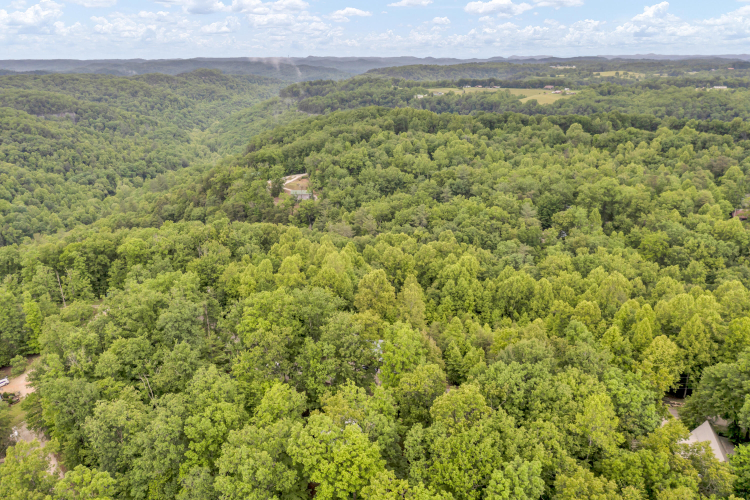 Listing Image 64