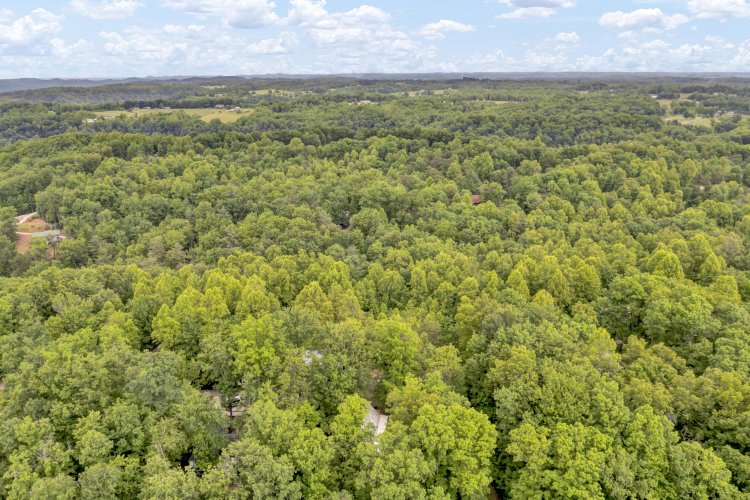 Listing Image 65