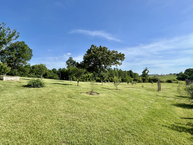 Listing Image 45