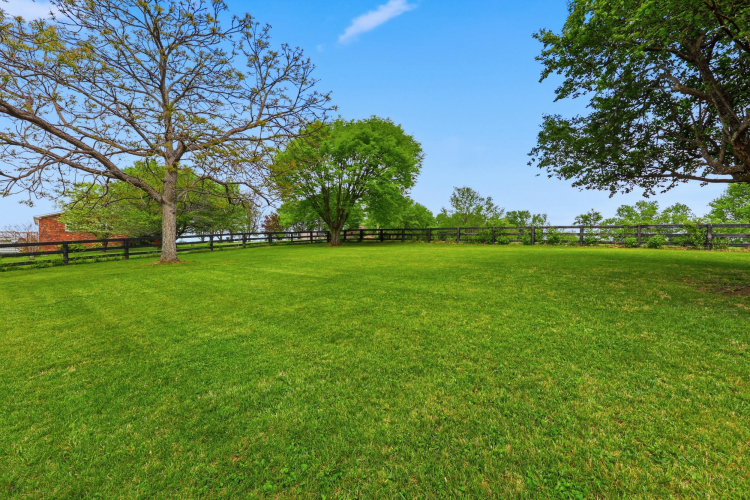 Listing Image 41