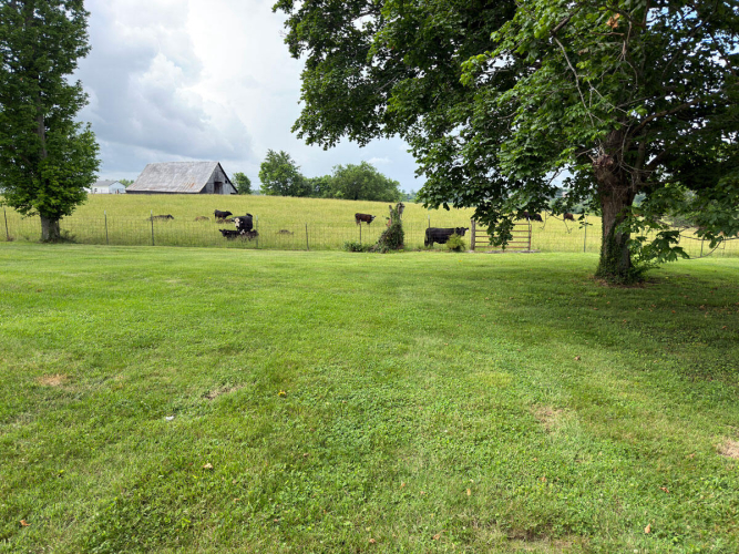 Listing Image 48