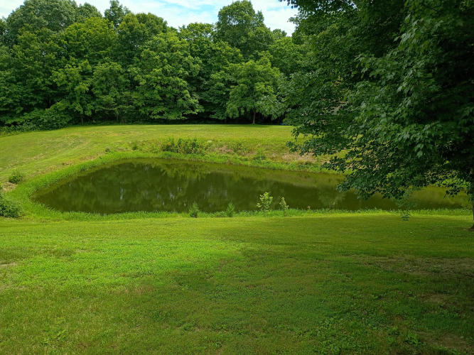Listing Image 37