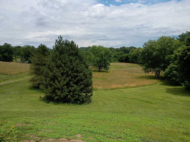 Listing Image 39