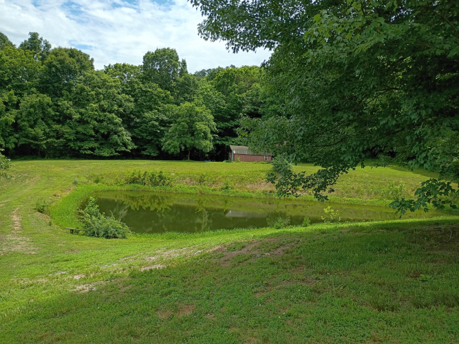Listing Image 40