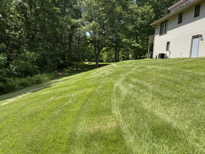 Listing Image 24