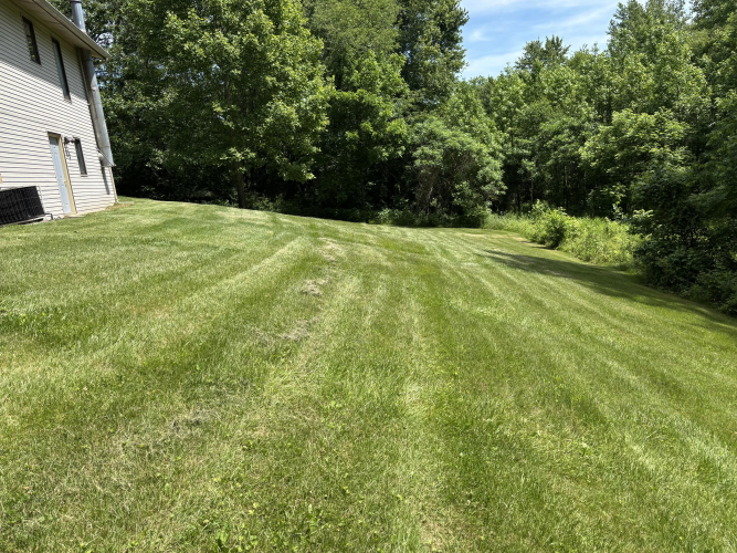 Listing Image 28