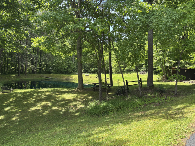 Listing Image 31