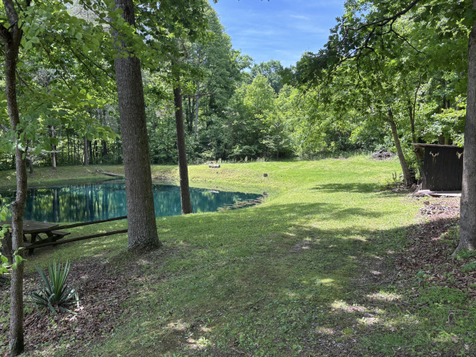Listing Image 32