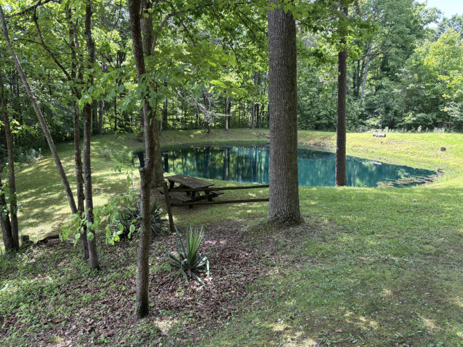 Listing Image 33