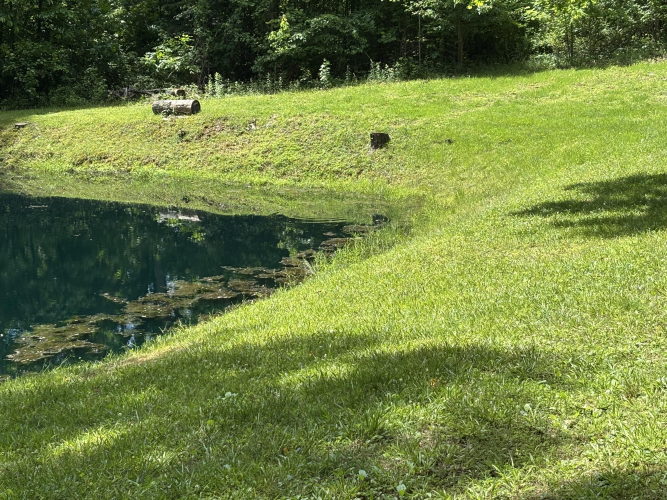 Listing Image 36