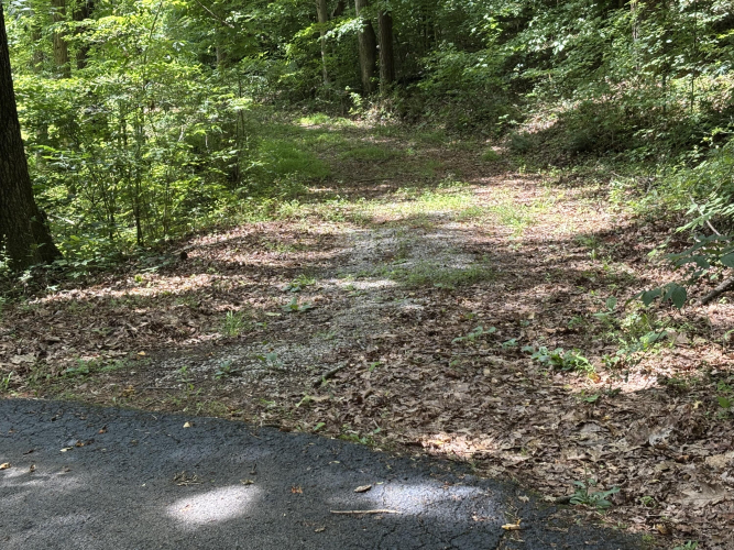 Listing Image 39
