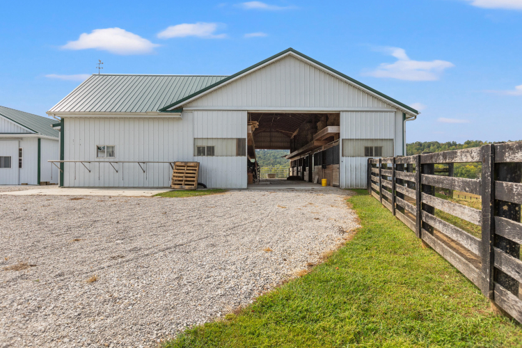 Listing Image 86